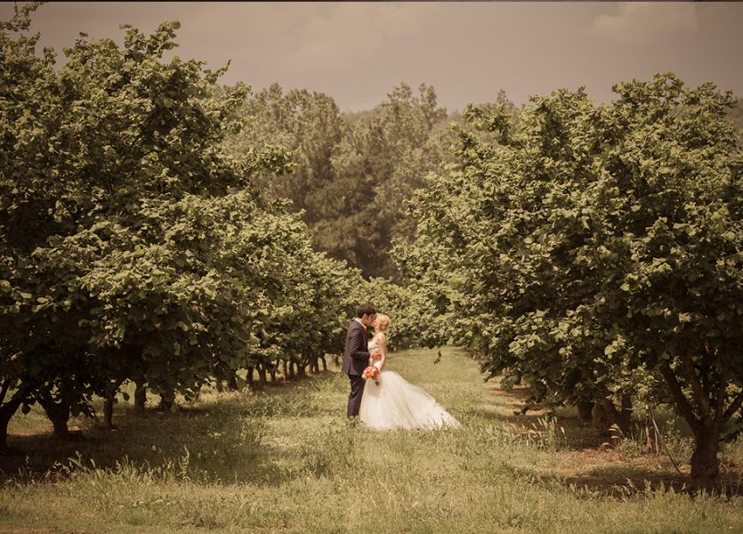 Boda entre manzanos